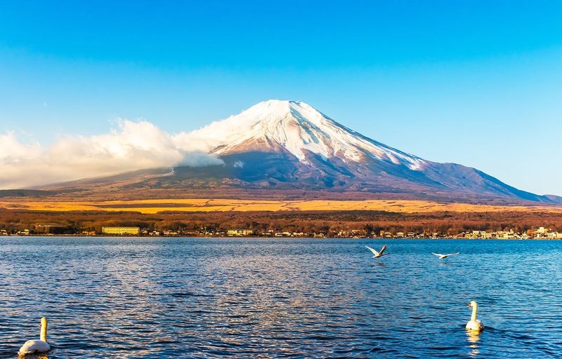 Billet Excursion d'une journée au Mont Fuji, au lac Kawaguchi, à Yamanaka et aux Onsen