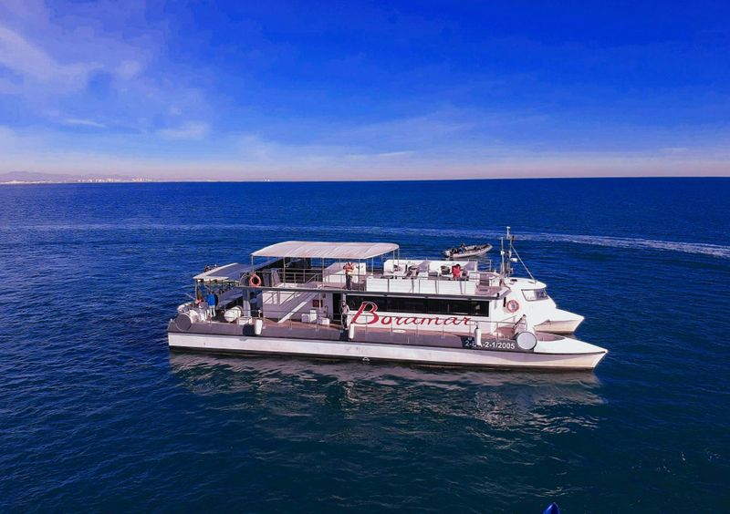 Billet Excursion en catamaran sur les plages de Malvarrosa et de Patacona avec boisson