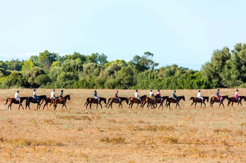 Billet Balade à cheval de deux heures à Rancho Grande - avec transfert