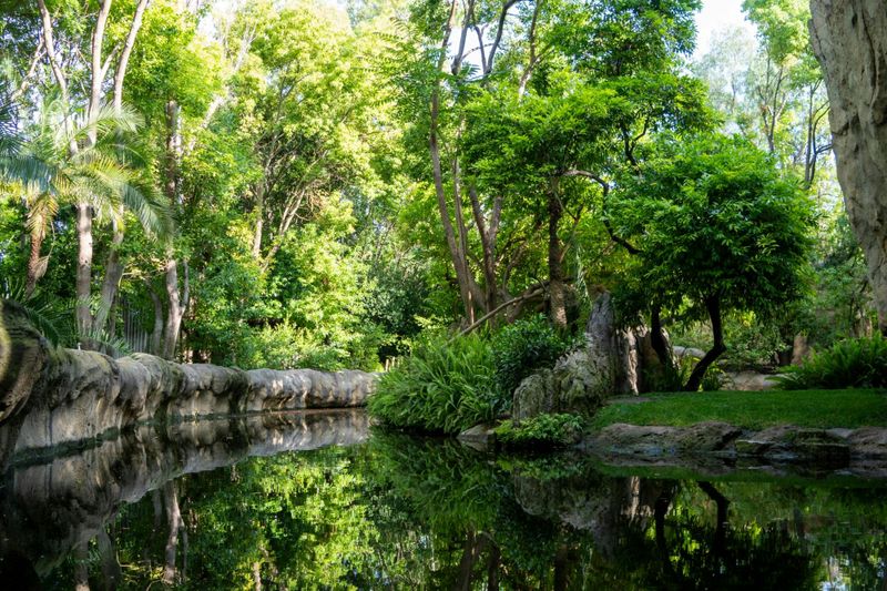 Billet Billet d'entrée au Bioparc Valencia