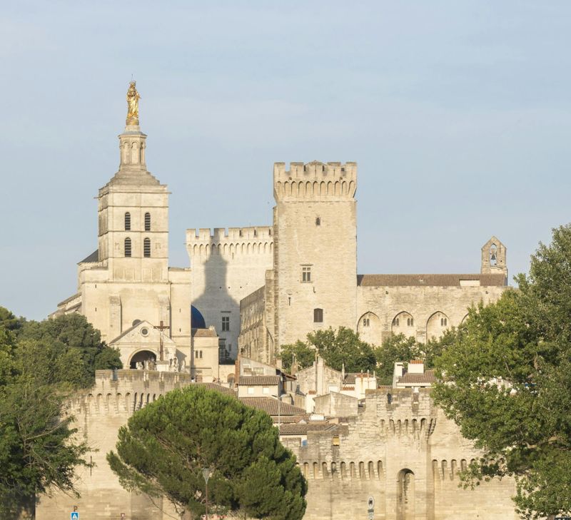 Billet Visite à pied d'Avignon et du Palais des Papes