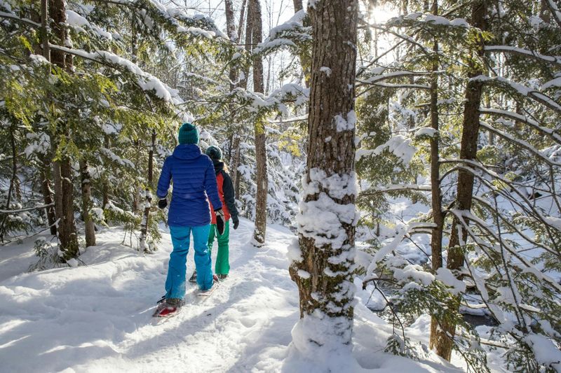 Billet Location de raquettes à neige Feldberg dans la Forêt-Noire