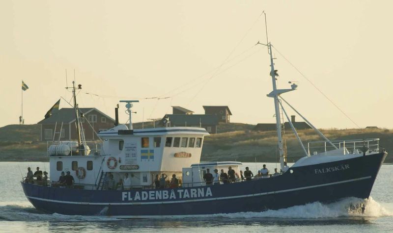 Billet Excursion de pêche de 8 heures au départ de Varberg sur le bateau Falkskär II