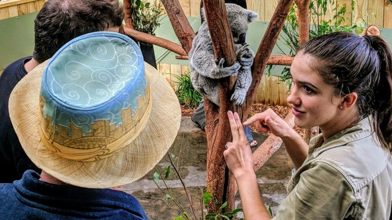 Billet Visite privée d'une journée complète sur la faune, les cascades et le vin au départ de Sydney