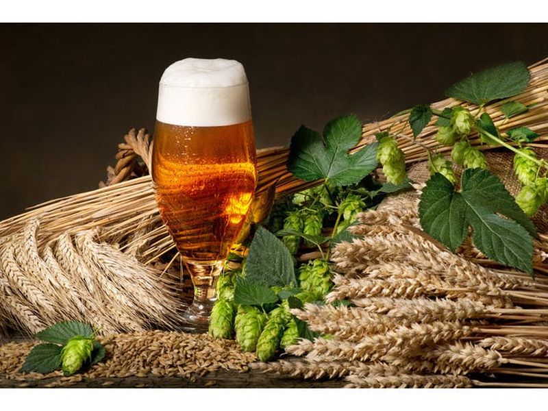 Billet Cours de brassage de bière avec collation copieuse à Schwetzingen