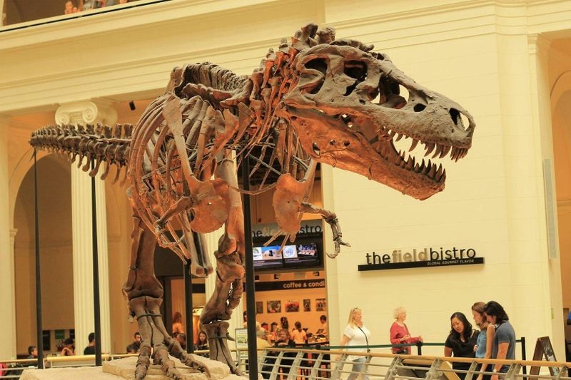 Billet Billets et visite audio du Field Museum of Natural History