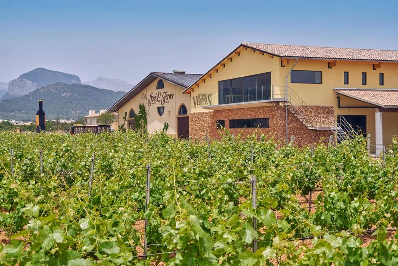 Billet Visite de dégustation de vins à la Bodega Jose L Ferrer