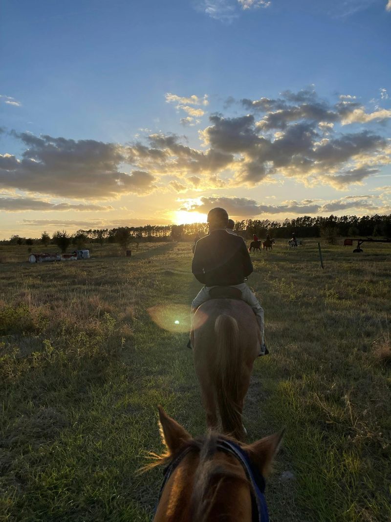 Billet Randonnée à cheval dans le centre de la Floride
