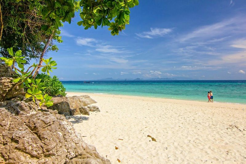 Billet Excursion d'une journée en hors-bord dans l'archipel de Phi Phi et dans les 4 îles de Krabi