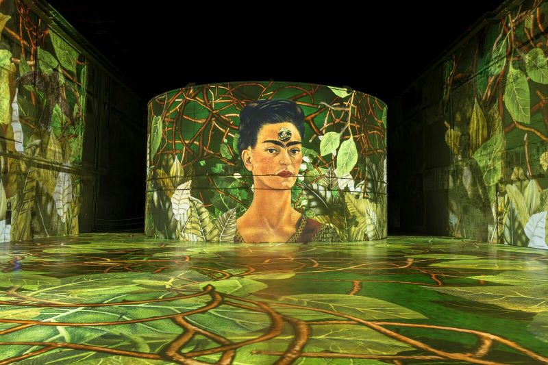 Billet Exposition immersive Matisse et Frida Kahlo aux Bassins des Lumières