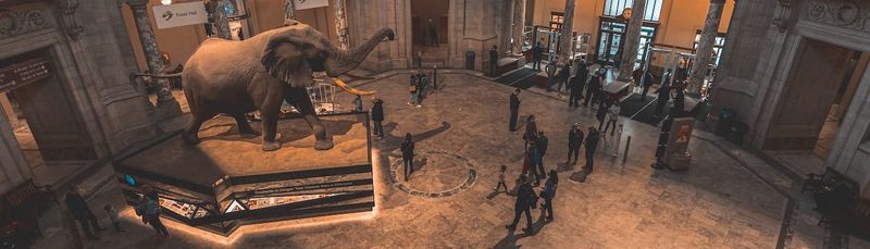 Billet Visite privée de deux musées Smithsonian, d'histoire américaine et naturelle