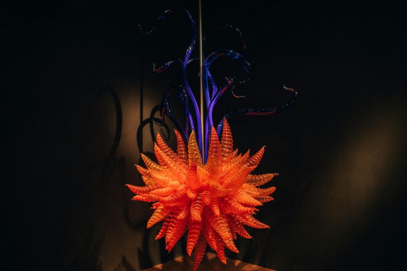 Billet Évasion d'art et de vin à Matakana