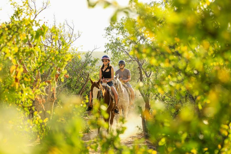 Billet L'expérience totale du Wild Canyon Park