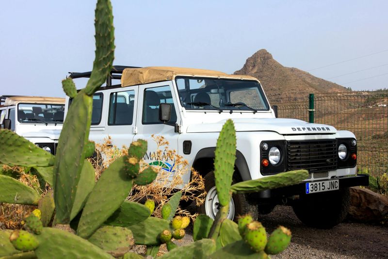 Billet Safari en 4x4 à Masca