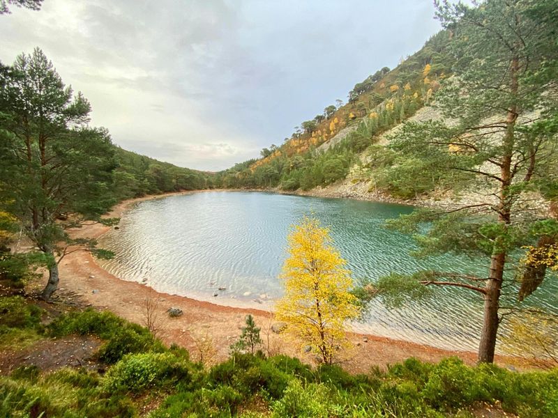 Billet Randonnée guidée dans les Cairngorms au départ d'Edimburgh