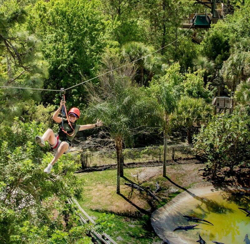Billet Entrée combinée Screamin' Gator Zipline et Gatorland
