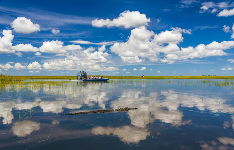 Billet Excursion d'une journée au parc national des Everglades avec transfert aller-retour