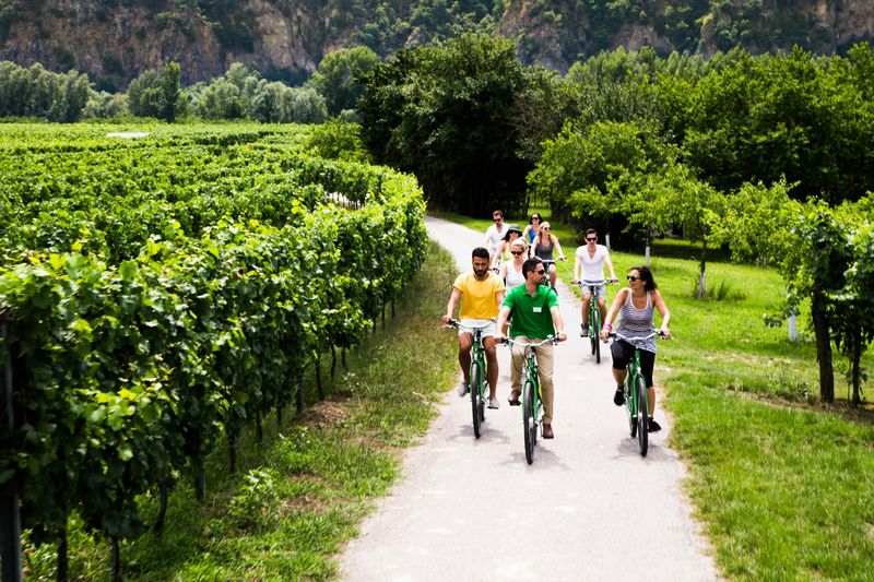 Billet Wachau Winery Bike Tour