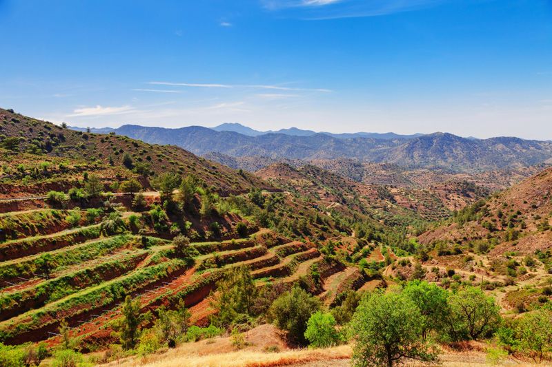 Billet Visite d'un vignoble dans le village de montagne de Troodos avec dégustation de vin