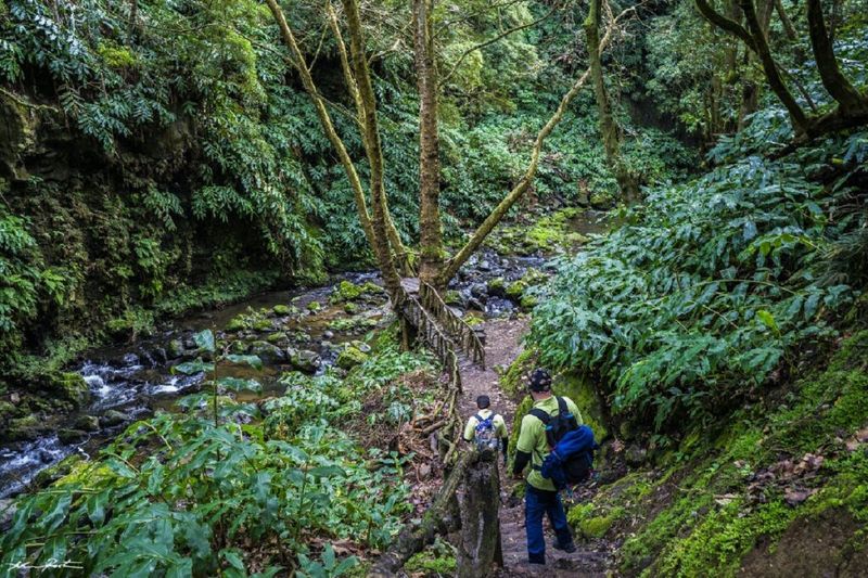 Billet Randonnée à Moinho do Félix au départ de São Miguel