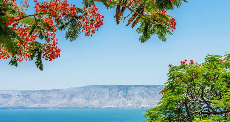 Billet Excursion en Galilée et à Nazareth au départ de Jérusalem