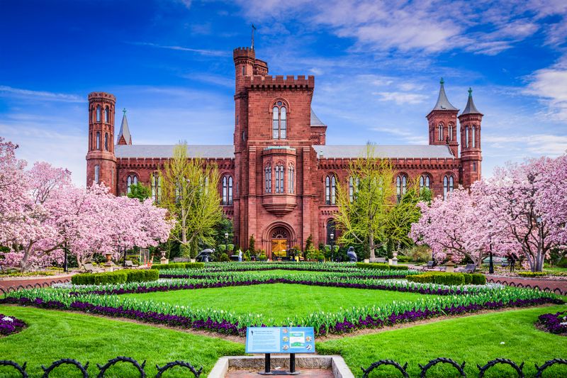 Billet Semi-privé du Smithsonian National Museum of Natural History