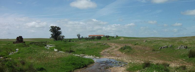 Billet Visite d'observation des oiseaux à Castro Verde avec dîner