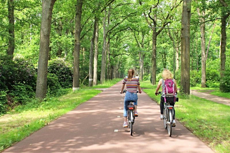 Billet Visite à vélo de 2 heures des points forts d'Eindhoven avec un guide local
