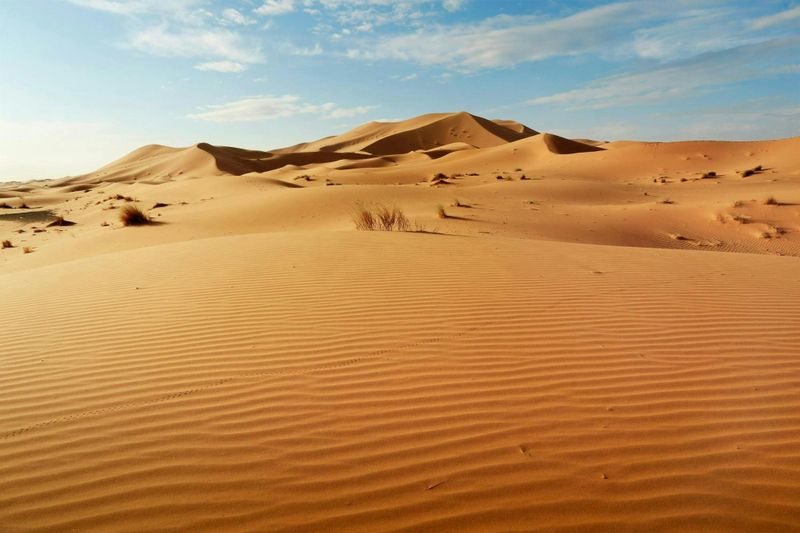 Billet Visite guidée d'une demi-journée des dunes du Sahara à partir d'Agadir