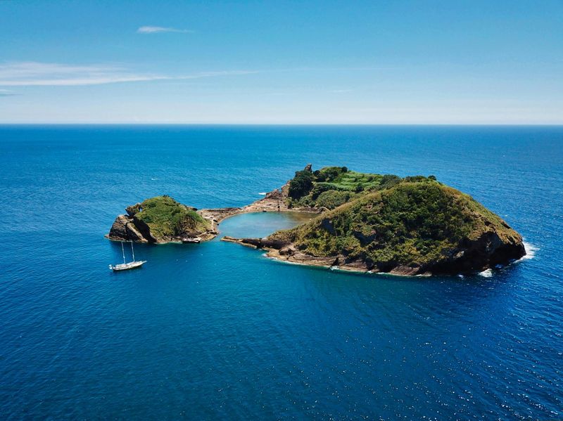 Billet Croisière d'observation des baleines et des dauphins avec déjeuner