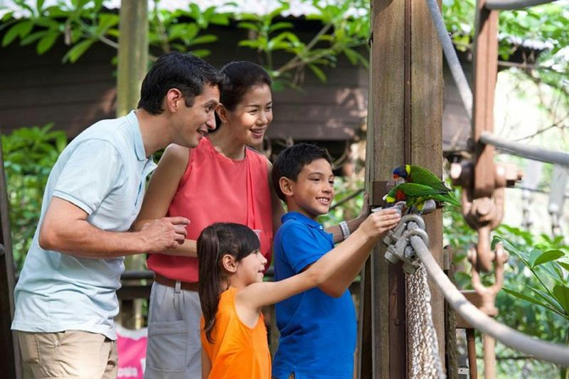 Billet Excursion privée en famille de découverte de la nature, des oiseaux et des papillons à Kuala Lumpur