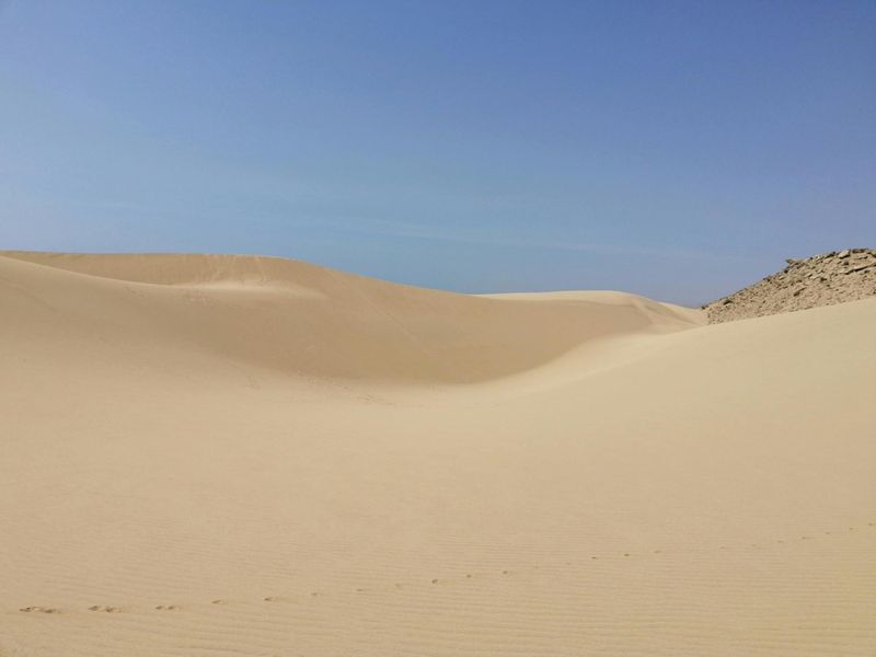 Billet Excursion d'une journée complète dans les dunes de sable du Sahara et la vallée du paradis au départ d'Agadir