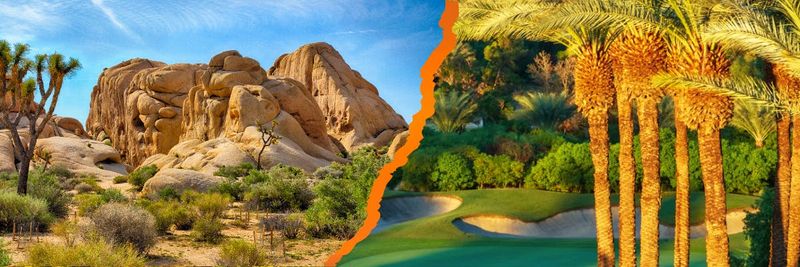 Billet Visite audioguidée de Joshua Tree et Palm Springs