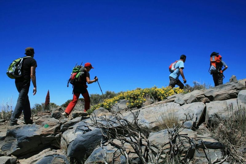 Billet Randonnée pédestre facile au mont Teide