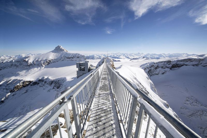 Billet Excursion d'une journée à Glacier 3000 et Montreux depuis Genève