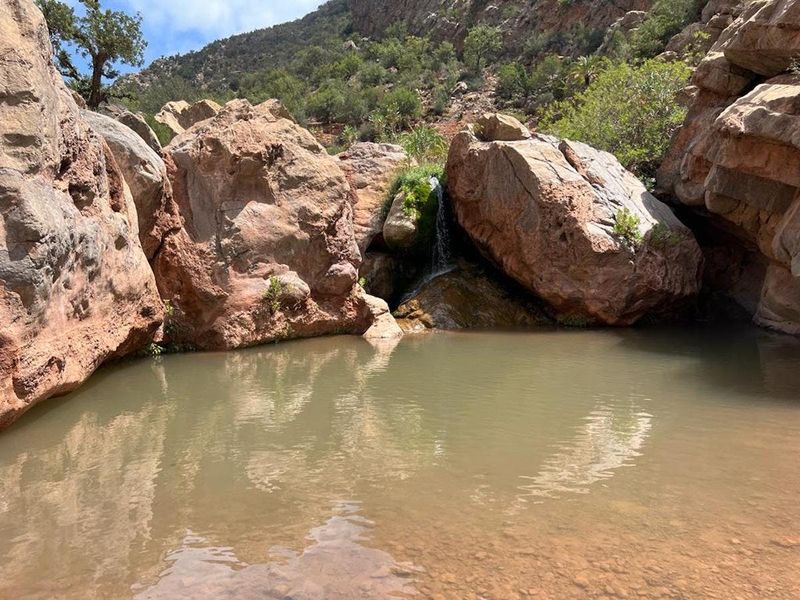 Billet Visite guidée d'une demi-journée à l'oasis berbère avec une courte randonnée