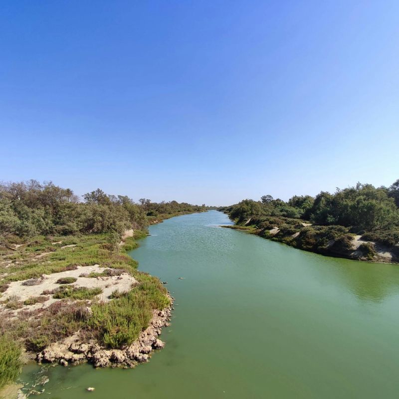 Billet Journée entière dans le parc national de Souss-Massa en 4x4 avec repas le midi authentique