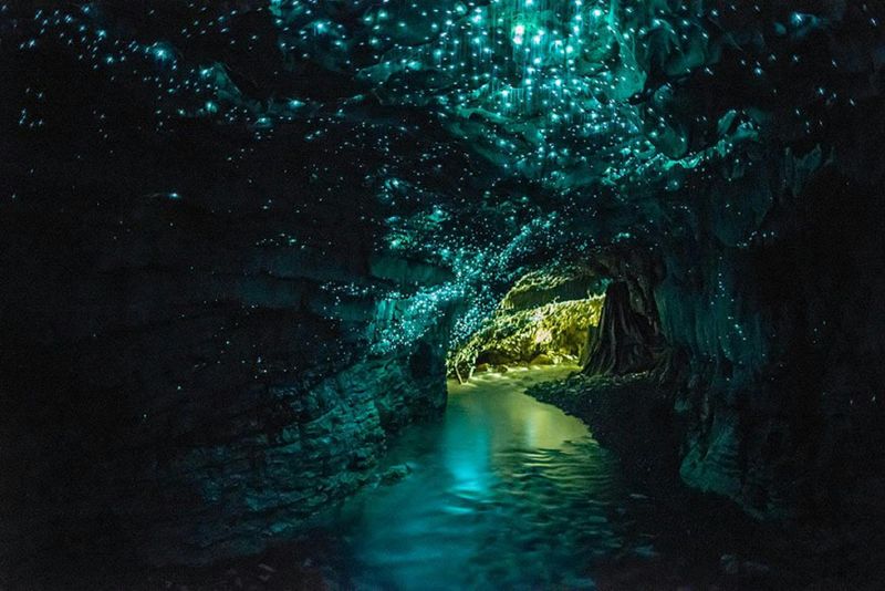 Billet Visite de la grotte aux vers luisants de Waitomo avec promenade en bateau