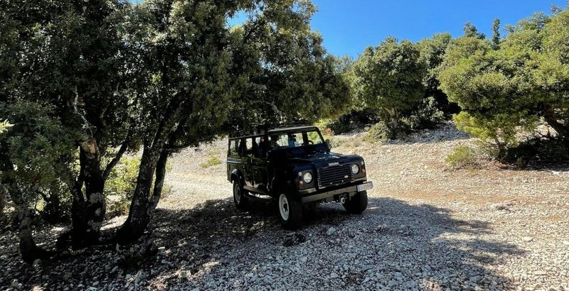 Billet Tour gastronomique et artisanal en 4x4 à Dorgali depuis Cala Gonone