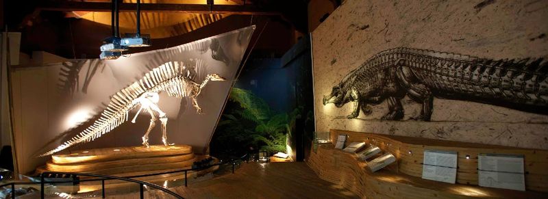 Billet Billets d'entrée au Musée d'histoire naturelle de Venise