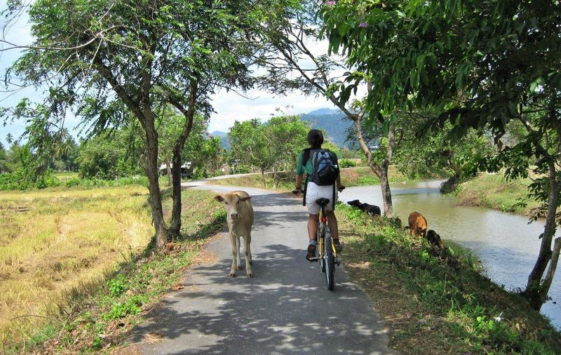 Billet Soirée à vélo sur les sentiers naturels de Langkawi