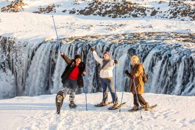 Billet Circuit en 4x4 des chutes d'eau de Dettifoss depuis le lac Mývatn