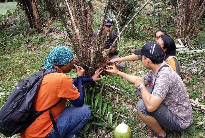 Billet Excursion en 4x4 à Salak Agro avec un temple et cours de cuisine