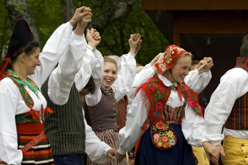 Billet Billet d'entrée au musée en plein air de Skansen à Stockholm