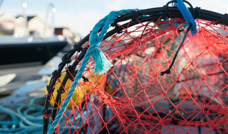 Billet Voyage de pêche de 16 heures au départ de Göteborg