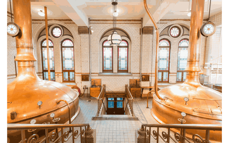 Billet Croisière sur les canaux Gray Line avec snackbox et expérience Heineken