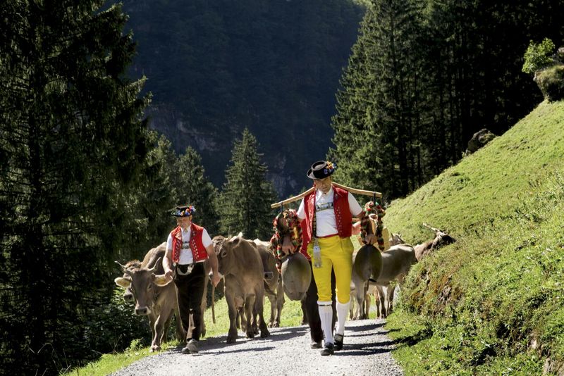 Billet Excursion en montagne à Appenzell avec visite de ferme et dégustation de fromage