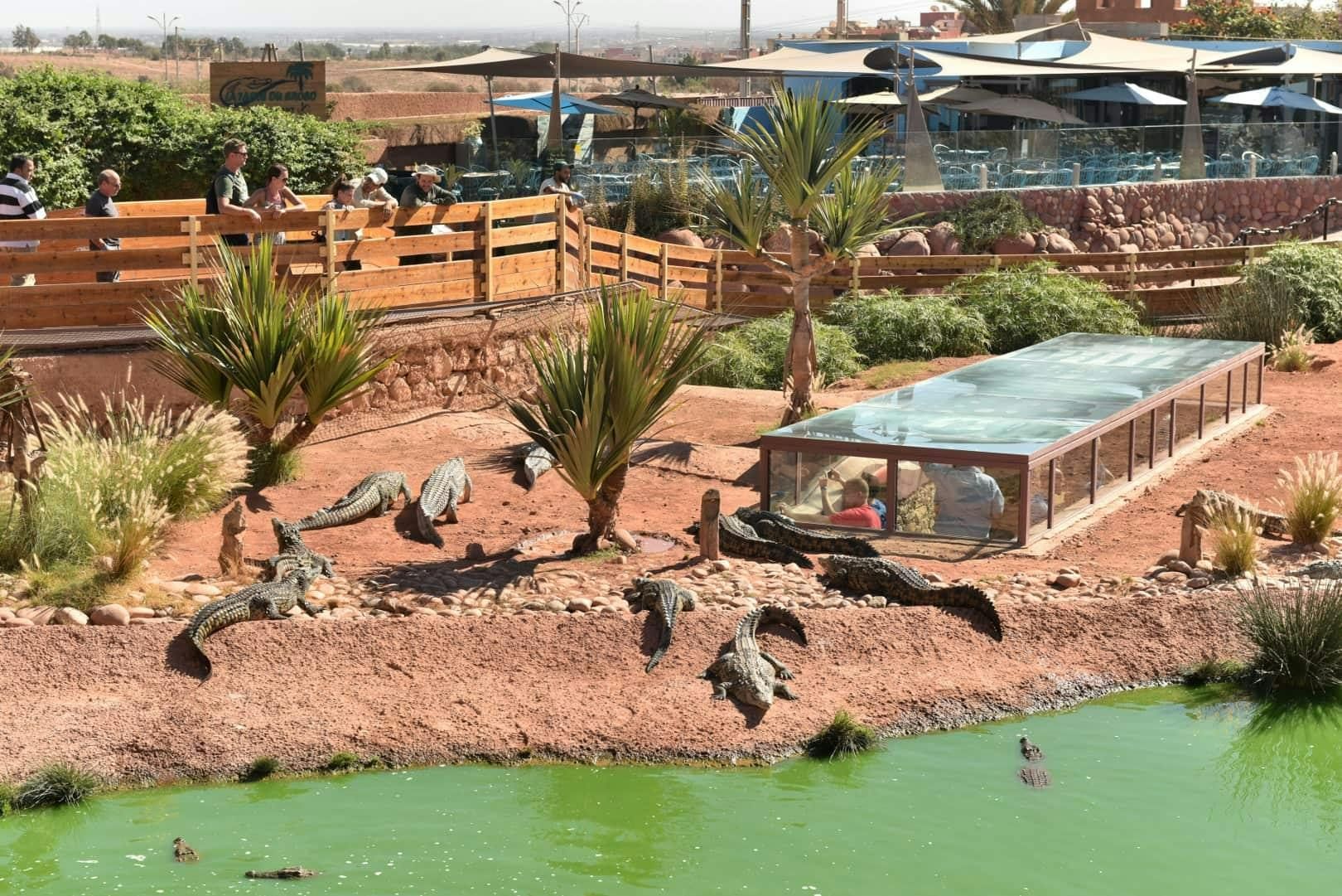 Billet Aventure dans la campagne marocaine avec Crocoparc et visite coopérative