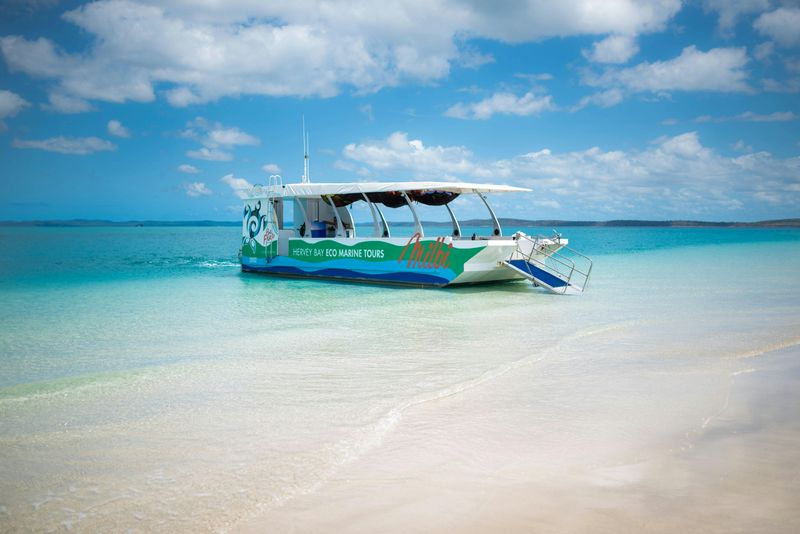 Billet Ecotour découverte des tortues