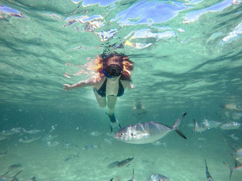 Billet Reef Explorer - Raies pastenagues, plongée en apnée et massage